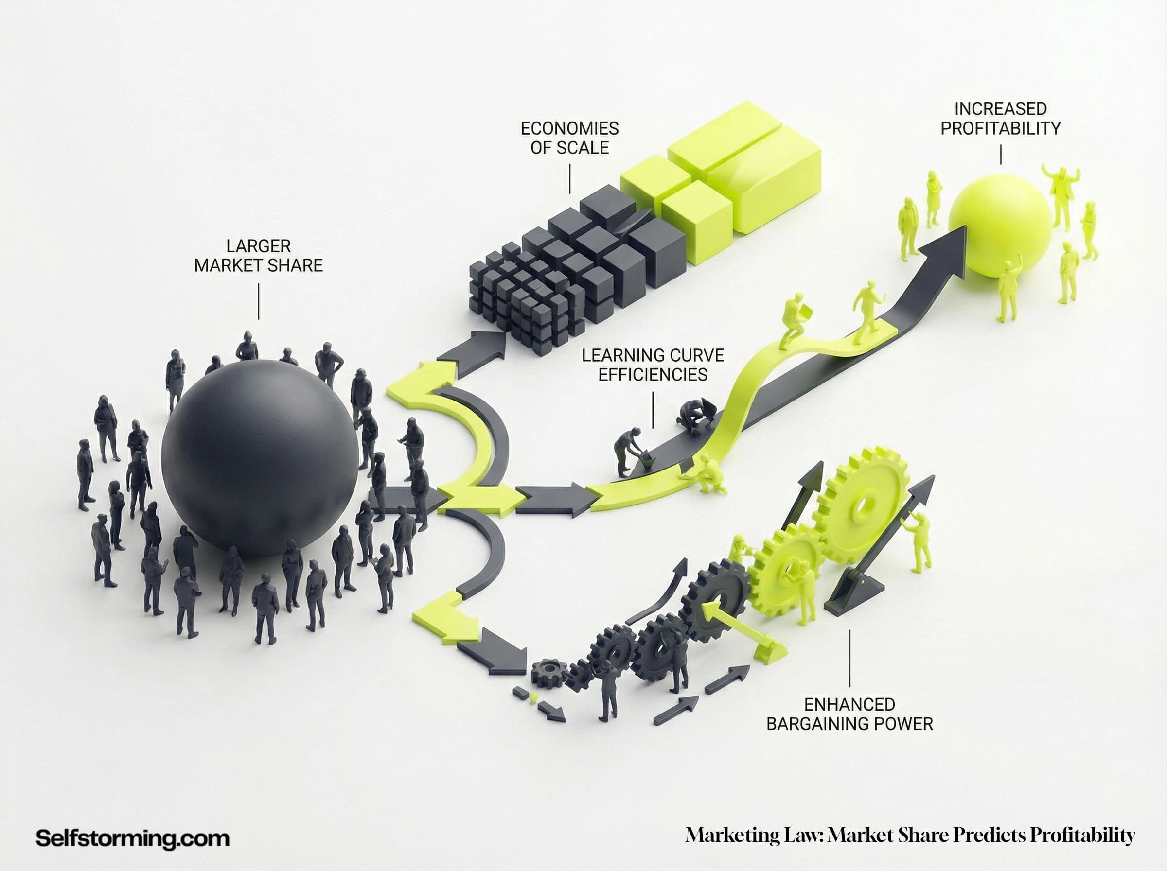 Market Share Predicts Profitability mechanism diagram - How Market Share Predicts Profitability works in consumer behavior and marketing strategy
