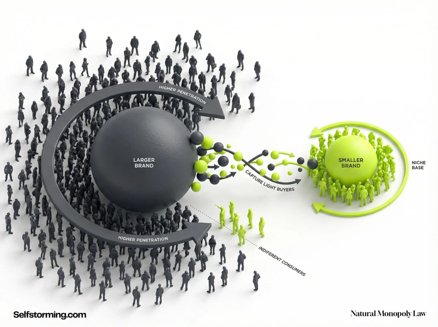 Natural Monopoly Law mechanism diagram - How Natural Monopoly Law works in consumer behavior and marketing strategy