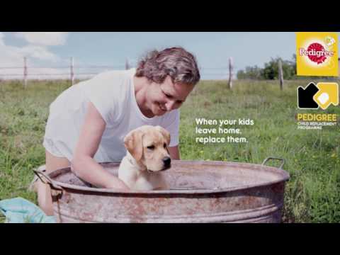 Pedigree: Child Replacement Programme