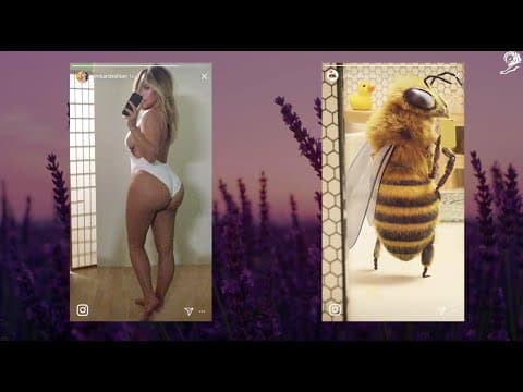 Fondation de France - The Story of @bee_nfluencer