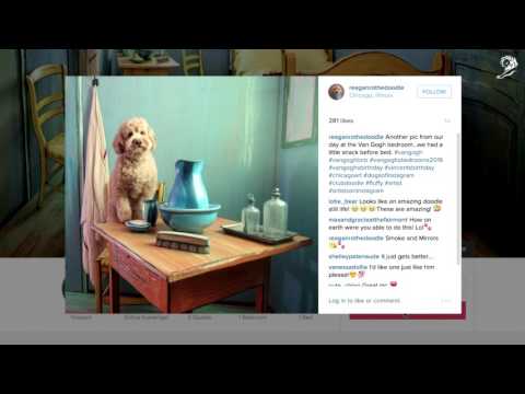 AirBnb: Van Gogh's Bedroom