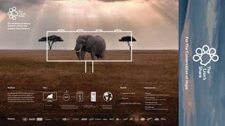 UNDP: The Lion's Share