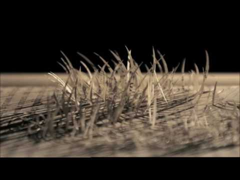 New Zealand Book Council: Books Come to Life