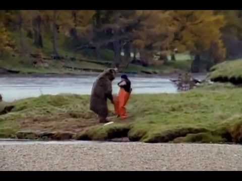 John West Salmon: Bear