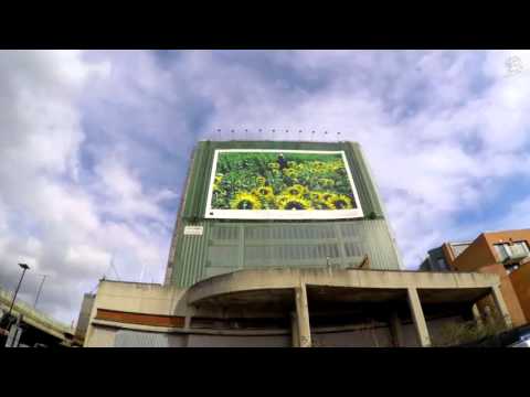 Apple iPhone6: World Gallery