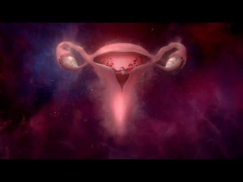 BodyForm: Womb Stories