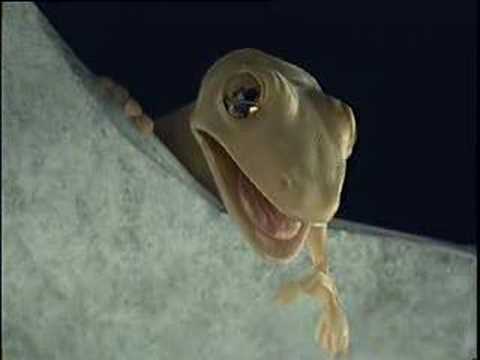 Shera Ceiling Board: Gecko Lovers