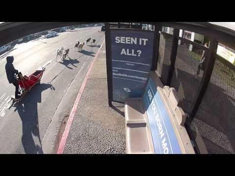 Qualcomm: Bus Stop Surprise
