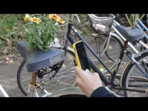 Cogoo: Saddle Blossoms