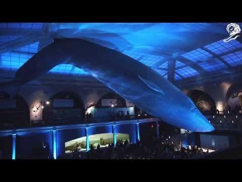 G-Star, Bionic & Vortex Project: Raw for the Oceans