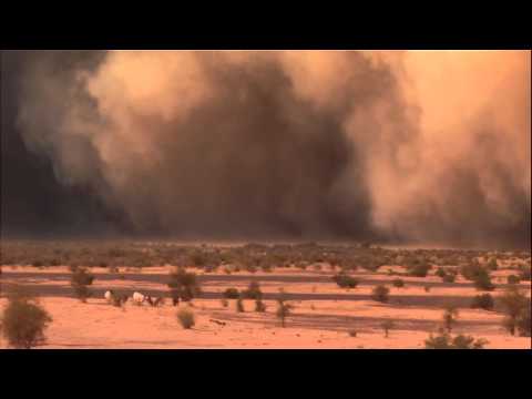Nat Geo Wild: Sandstorm