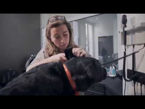 Purina: Street-Vet