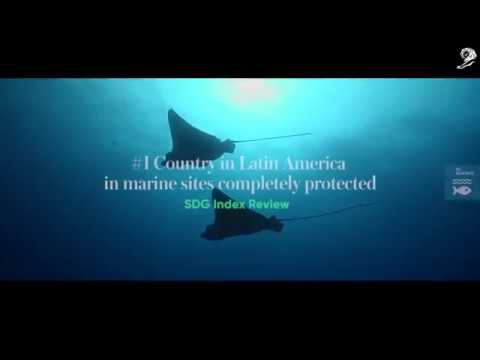 Sambito: Nature Represented