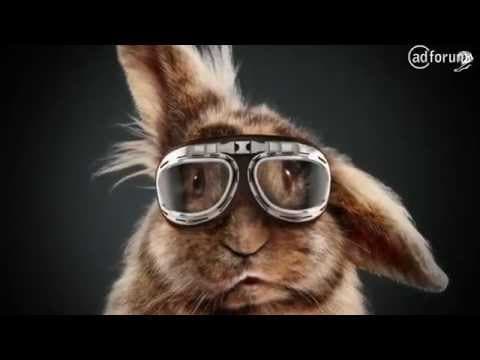 Media Mart: Rabbit Race