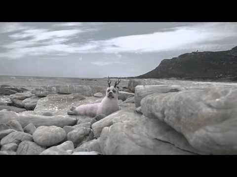 WWF Wonder World Fur: Bamboseal