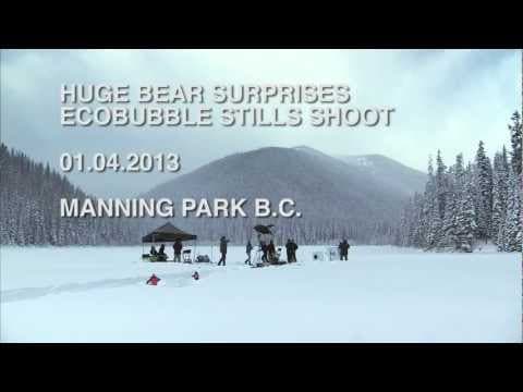 Samsung Ecobubble: Bear