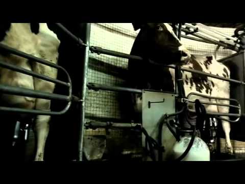 Konzerthaus Dortmund: Concert Milk