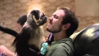 Mountain Dew: PuppyMonkeyBaby