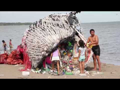 Greenpeace: Dead Whale