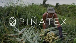 Dole and Ananas Anam: Piñatex