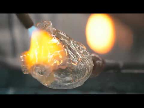 Toyota: Glass Organs