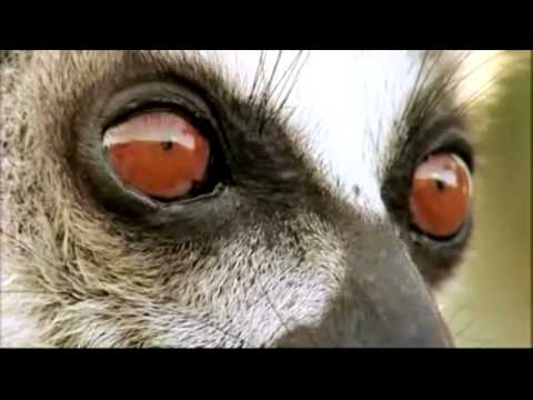 Discovery: I Love the World