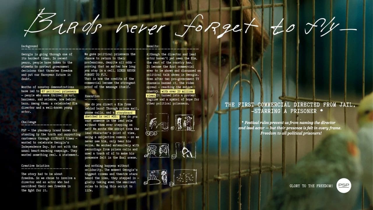 PSP: Birds Never Forget to Fly