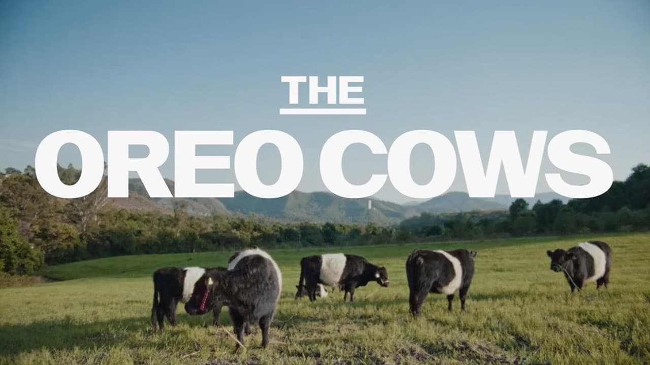 Oreo: The OREO Cows