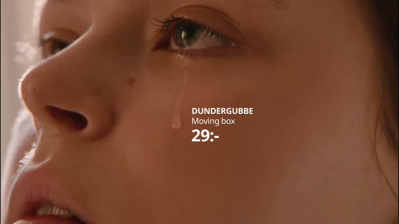 IKEA: Wherever Life Goes